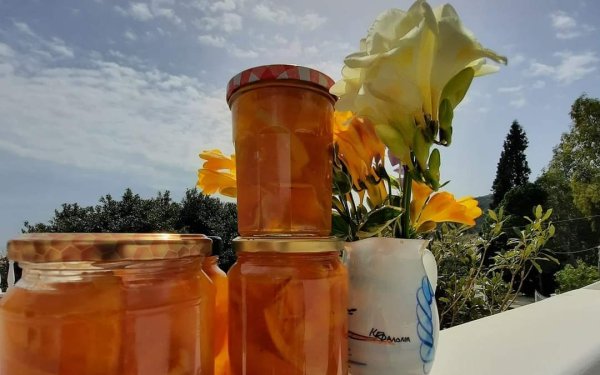 Διονυσία Μενεγάτου: ''Το πορτοκάλι και το απανέμι!''