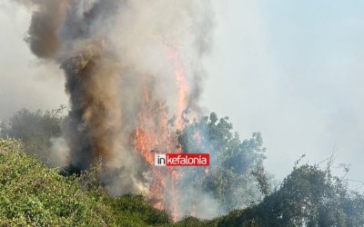 Υπό έλεγχο η μεγάλη φωτιά στη Λειβαθώ (Ανανεωμένο)