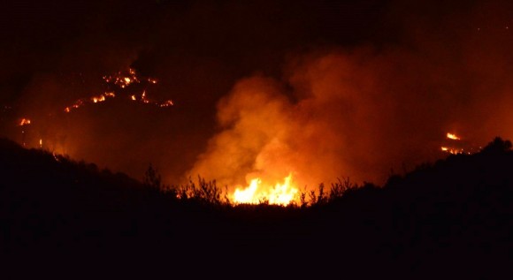 Ολονύχτια μάχη με τις φλόγες στα Καμπιτσάτα – Υπό μερικό έλεγχο η φωτιά (εικόνες)