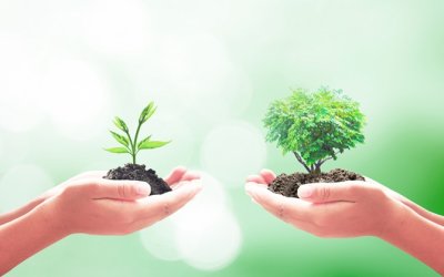 Σπ. Θεοτοκάτος: Ο ανθρώπινος παράγοντας στο νέο αγροτικό μοντέλο