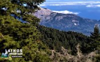 Με τρεις διαδρομές και παράλληλες δράσεις επιστρέφει ο 6ος Ainos Mountain Marathon