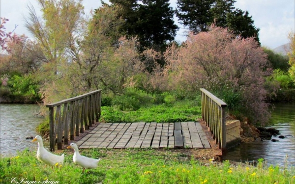 «Φάρος»: Ανοιχτή εκδήλωση στον Κούταβο - για τον Κούταβο