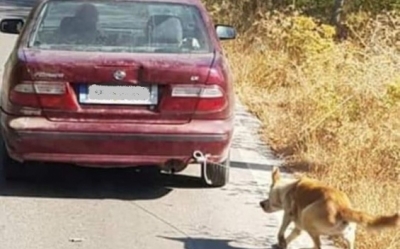 Κρήτη: Ανατροπή στην υπόθεση του 73χρονου που έσερνε τον σκύλο με το αυτοκίνητο;