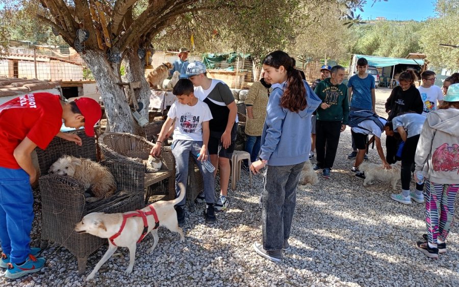 3ο Γυμνάσιο Αργοστολίου: Επίσκεψη στο καταφύγιο του Συλλόγου προστασίας αδέσποτων ζώων Doris Ark