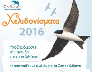 Φορέας : Προσκαλεί μαθητές στα ''Χελιδονίσματα"