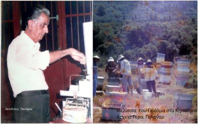 Μια μνήμη για τον σπουδαίο μελισσοκόμο Διονύση Γκιόλμα
