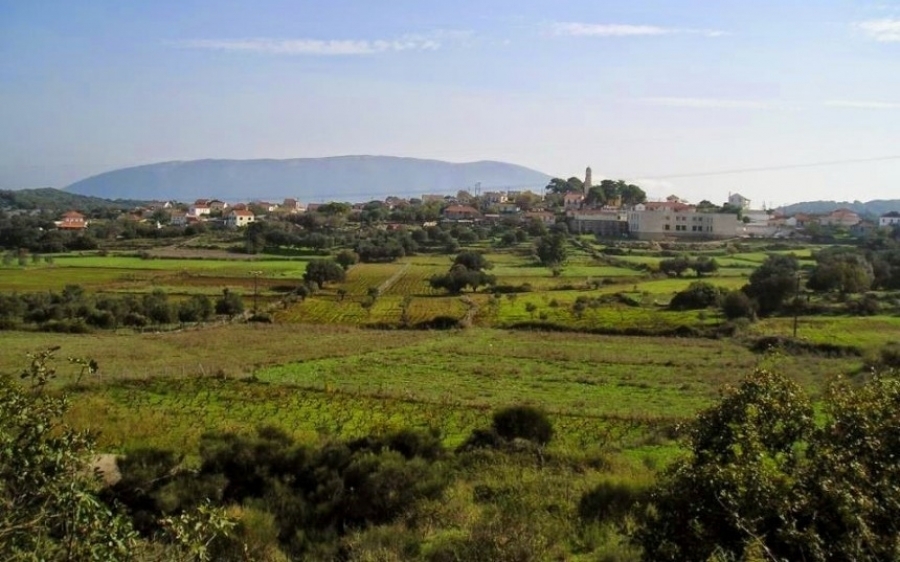 Πανηγύρι στα Μεσοβούνια