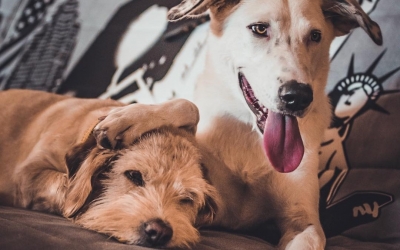 Οι δικές σας Κεφαλονίτικες φωτογραφίες στο Instagram - #inkefaloniagr