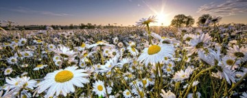 Το ΕΕΕΕΚ Αργοστολίου ευχαριστεί...