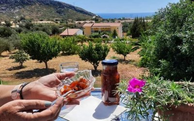 Διονυσία Μενεγάτου: "Το κότο..."