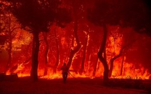 Τραγική η κατάσταση στην Λέσβο - Μέσα στο χωριό η φωτιά στα Βατερά – Τραυματίστηκε πυροσβέστης – Μαρτυρίες για εμπρησμό (εικόνες/video)