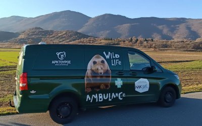 Αρκτούρος: Απέκτησε το πρώτο ασθενοφόρο για μεγάλα άγρια ζώα στην Ελλάδα