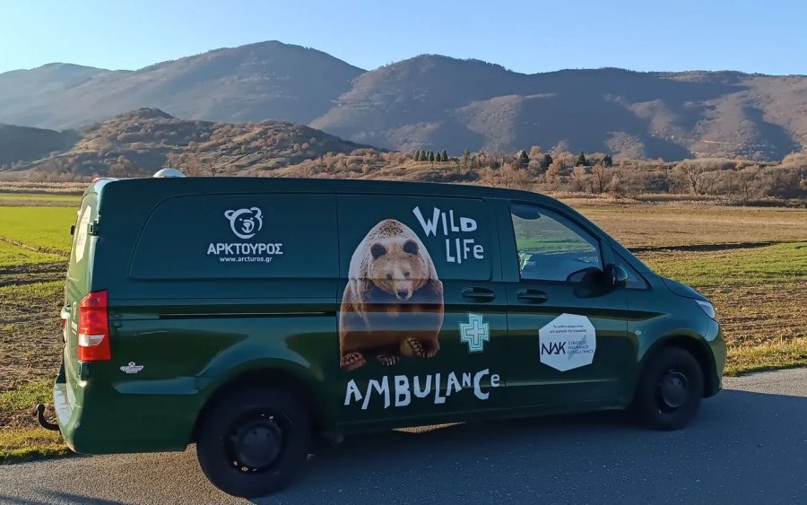 Αρκτούρος: Απέκτησε το πρώτο ασθενοφόρο για μεγάλα άγρια ζώα στην Ελλάδα