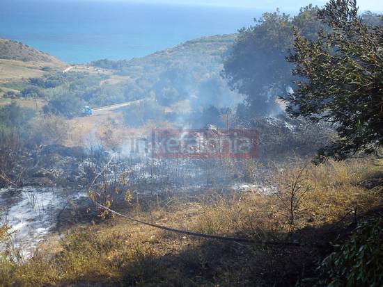 Η Εθελοντική Ομάδα Δασοπροστασίας Ελειού – Πρόννων για την δράση της στις πυρκαγιές 