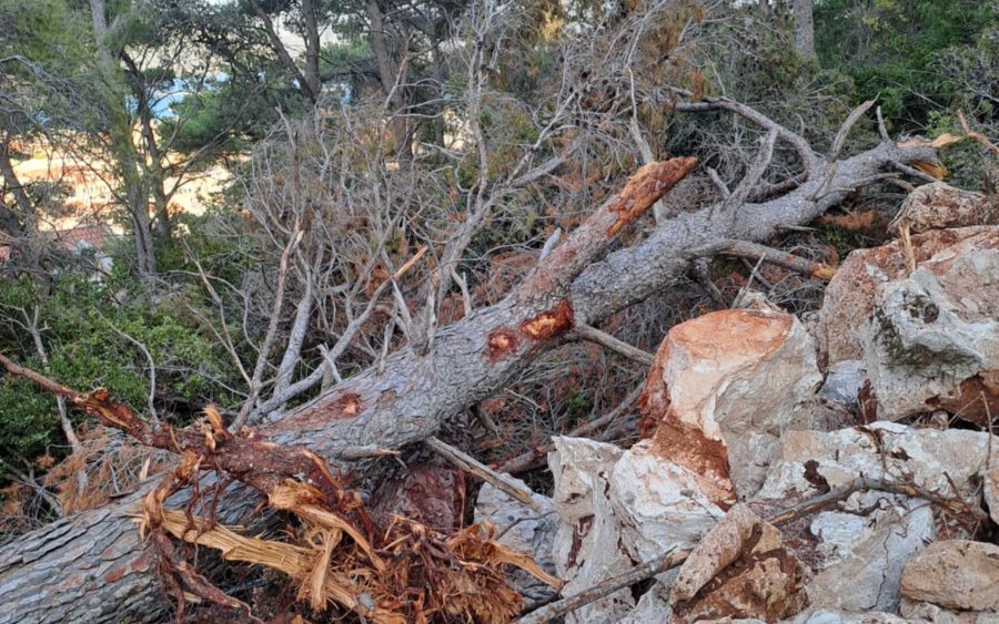 Αντίθεση "Φάρου" σε σχέση με τη διάνοιξη των οδών Μαλάκη και Μακεδονίας