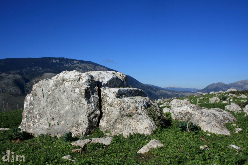 Έκθεση έργων τέχνης από ρίζες και πέτρες της Κεφαλονιάς