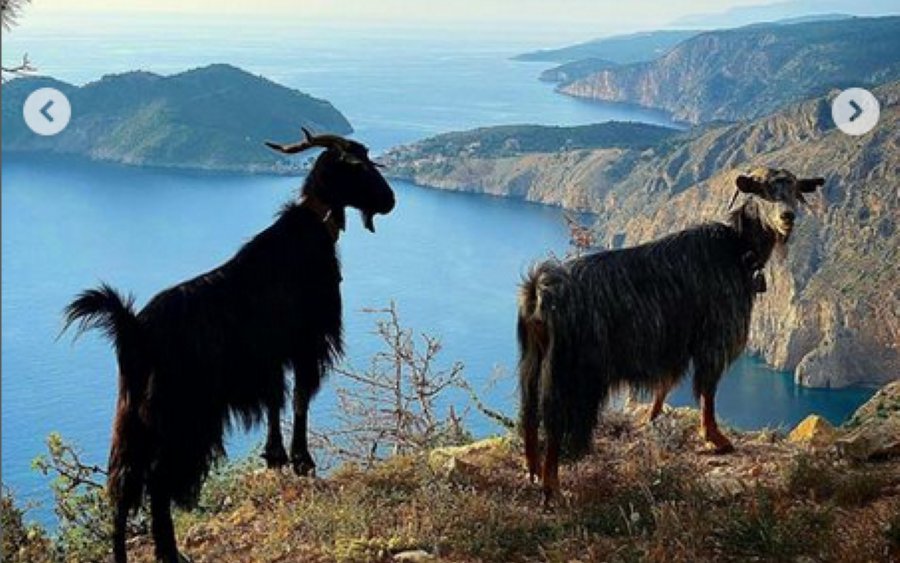 Με θέα την Άσσο... (εικόνες)