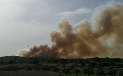 Ζάκυνθος: Μεγάλη φωτιά στις Βολίμες (video)