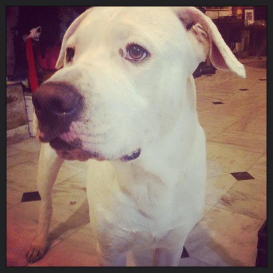 Χάθηκε ο Περσέας στην περιοχή της Λειβαθούς