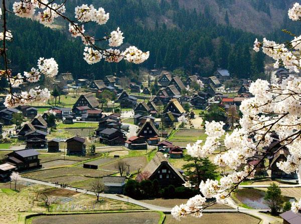 Ogimachi: Tο πανέμορφο χωριό που μένεις μόνο μία νύχτα!