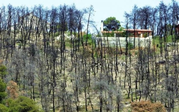 Εκτιμήσεις για πάνω από 270.000 καμένα στρέμματα σε Αττική και Εύβοια