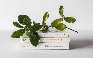 ΟΑΕΔ: Επιταγή 20 ευρώ για αγορά βιβλίων -Σε εξέλιξη οι αιτήσεις