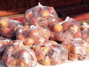 Στο πλαίσιο της “Ιόνιας Συμμαχίας κατά της Φτώχειας”: Διανομή φρούτων στους δικαιούχους