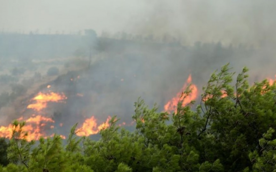 Πυροσβεστική: 57 δασικές πυρκαγιές σε 24 ώρες