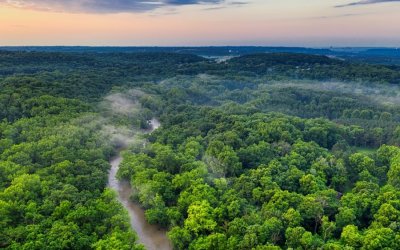Ο Αμαζόνιος εκπέμπει SOS: Κινδυνεύει το ένα τρίτο του δάσους από την ανθρώπινη δραστηριότητα