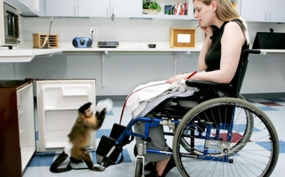 Τα ζώα-θεραπευτές χαρίζουν ελπίδα σε ΑΜΕΑ και ασθενείς (εικόνες)