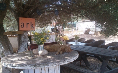 Κόβει το Σάββατο την πίτα του ο Σύλλογος Ζωόφιλων "Ντόρις"