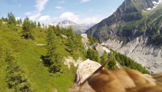 Εκπληκτικό video από κάμερα προσαρμοσμένη σε αετό πάνω από τις Γαλλικές Άλπεις (video)