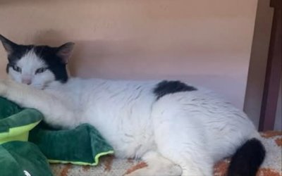 Χάθηκε η "Μαργαρίτα" στην παραλιακή Αργοστολίου