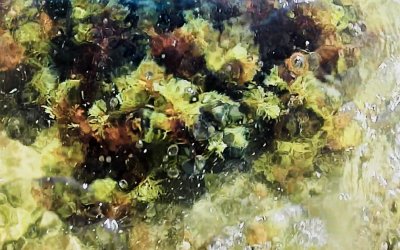 Η έκθεση ''Θεωρία Κυμάτων'' του Kurtis Lesick στο Ιόνιο Κέντρο Τεχνών και Πολιτισμού στα Μεταξάτα