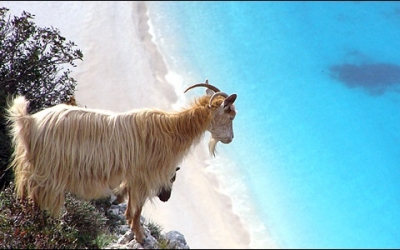 Conde Nast Traveler: Πες μου τι τύπος τουρίστα είσαι να σου πω σε ποιο ελληνικό νησί να πας