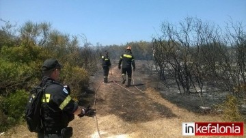 Υπό πλήρη έλεγχο η φωτιά στα Κοκολάτα (εικόνες + video)