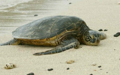 Η φωτογραφία δεν έχει σχέση με το συμβάν