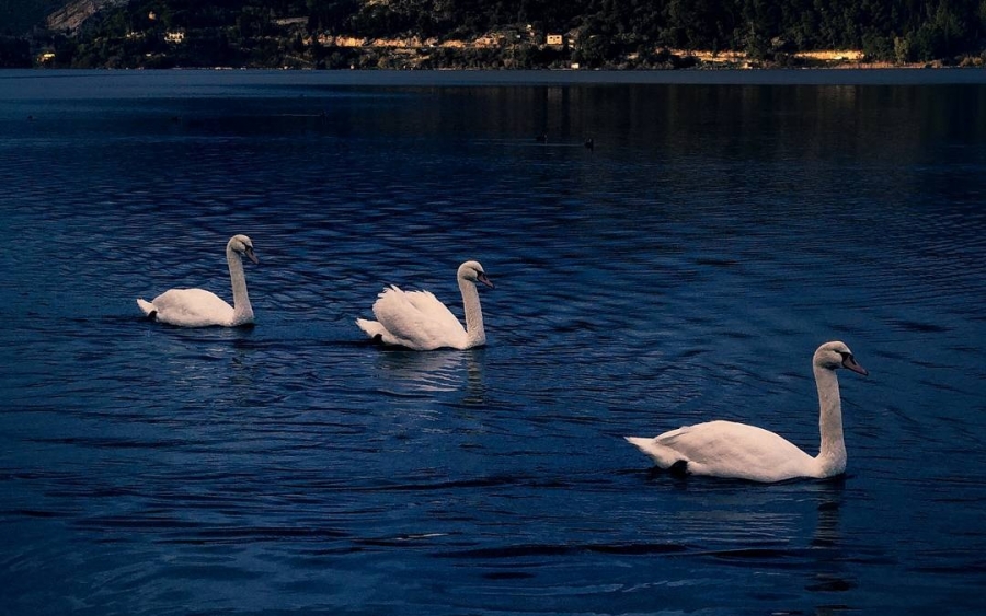 Οι δικές σας Κεφαλονίτικες φωτογραφίες στο Instagram - #inkefaloniagr