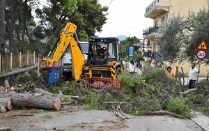 Ανακοίνωση του ΙΚΙ για τις φετινές καταστροφές
