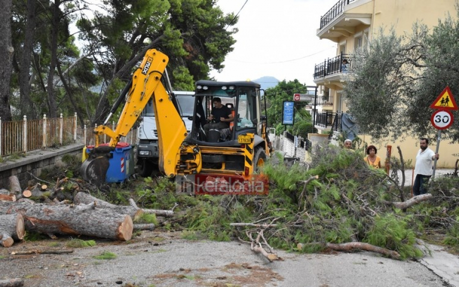 Ανακοίνωση του ΙΚΙ  για τις φετινές καταστροφές