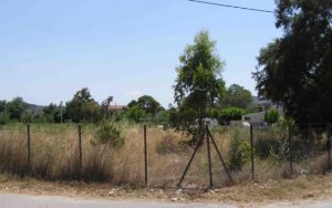 Καθαρισμός οικοπέδων: Σε ΦΕΚ νέα απόφαση -Πρόστιμο & φυλάκιση για τους αμελείς ιδιοκτήτες