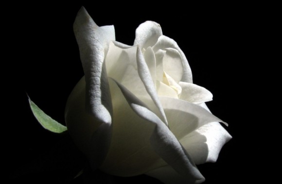 "Έφυγε" ο Σπύρος Κομποθέκρας- Ψήφισμα Οδοντιατρικου Συλλόγου- Συλληπητήρια