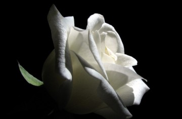 "Έφυγε" ο Σπύρος Κομποθέκρας- Ψήφισμα Οδοντιατρικου Συλλόγου- Συλληπητήρια