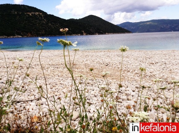 Αντίσαμος γεμάτη αντιθέσεις!