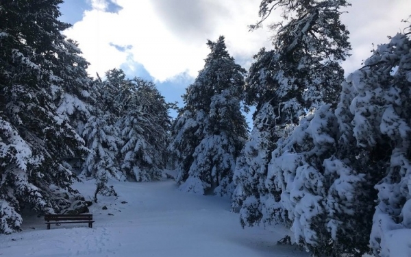 Φωτογραφία από τον Αίνο Ανδρέας Μιχαλάτος