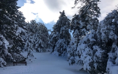 Φωτογραφία από τον Αίνο Ανδρέας Μιχαλάτος