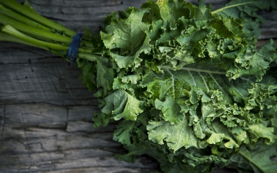 Kale: Γνωρίστε τη θρεπτική αξία του ιδιαίτερου αυτού λαχανικού