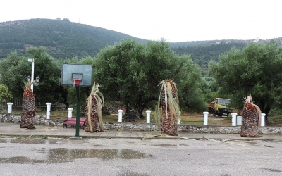 Το τέλος του Θιακού φοίνικα (εικόνες)