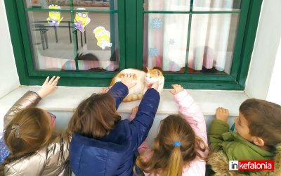 Παράδειγμα προς μίμηση! Το Νηπιαγωγείο Σκάλας αγκάλιασε και υιοθέτησε τον "μουσούδα" (εικόνες)