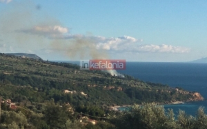 Κατεσβέσθη η φωτιά στα Σίσια (εικόνες)